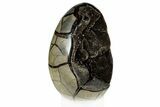 Septarian Dragon Egg Geode - Black Crystals #302857-2